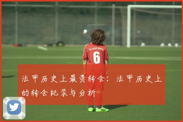 法甲历史上最贵转会：法甲历史上的转会纪录与分析
