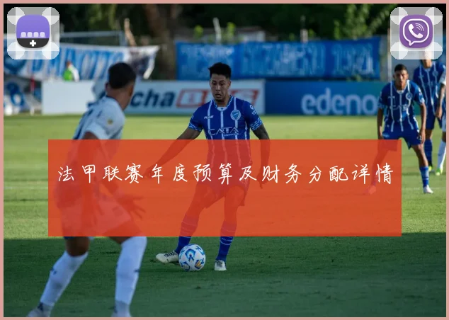 法甲联赛年度预算及财务分配详情