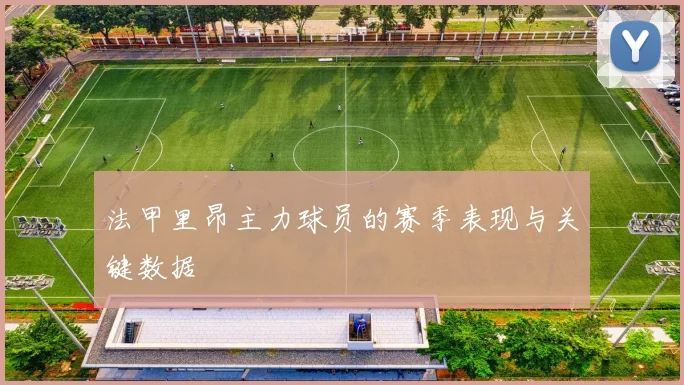 法甲里昂主力球员的赛季表现与关键数据