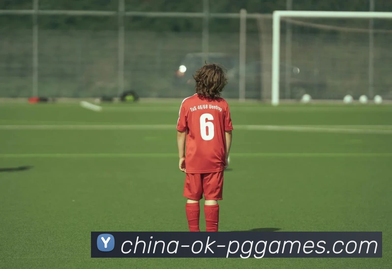 PG模拟器品牌故事